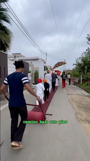 ¿Por qué NUNCA tocan el suelo? 😱 La casta más alta de la India 🇮🇳