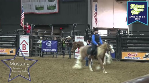 Check out the mighty Mustang horses at Midwest Horse Fair 2023 presented by Mustang Pride! 👇 Join us in 2024 - April 19, 20 & 21 at the Alliant Energy Center in Madison, Wisconsin! Subscribe to our Youtube for more videos at: https://www.youtube.com/@midwesthorsefair Wisconsin Horse Council Menzel's Amish Shelter & Fabrication Macksteel Farm and Ranch Equipment Tribute Equine Nutrition Nutrena Feed Blain's Farm & Fleet John Deere Barnes PRCA Rodeo #mustanghorse #mhf2024 | Midwest Horse Fair