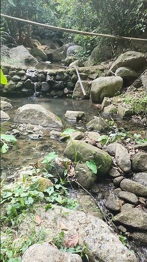 kathu waterfall #nature phuket
