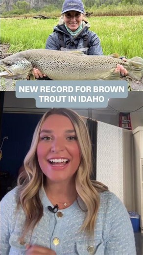 New Idaho record set for brown trout