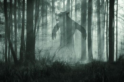 Michigan trucker believes he encountered, shot the Dogman