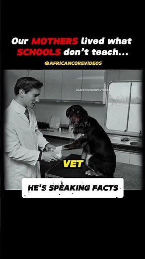 Black History They Don’t Want You to Know #blackhistory