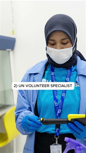 UN Volunteer categories