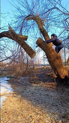 Amazing DIY Woodworking Machine #woodworkingmachines #woodworkingtools #woodworkingjigs #woodworking