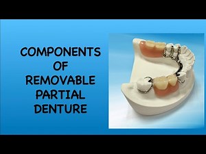 Components of Removable Partial Denture(RPD). Prosthodontics I BDSIADC
