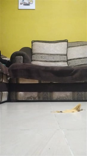 Bad Ending Memes That Will Make You Laugh