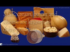 21 Dairy Idioms and Expressions in English – Improve Your English Vocabulary