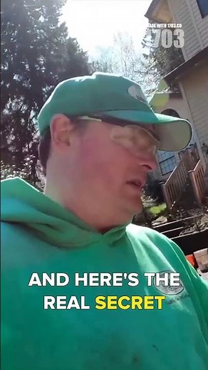 Revive Your Pavers: Pro Pressure Washing Secrets That Save Money