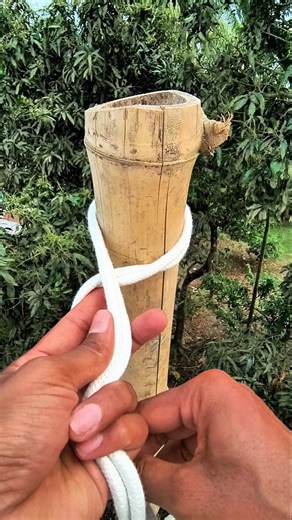 This is a Python Git. It has many uses. Practical and easy Git.
