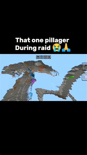 Finding the Last Pillager is Impossible! 🏹 Minecraft Raid Fail