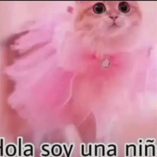 CATS #hetalia #hetaliagreece #brainrot Hetalia: Axis Powers is a popular manga and anime series created by Hidekaz Himaruya that satirizes historical and political events by personifying nations as anthropomorphic characters.