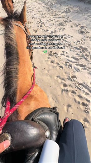 Welcome to Florianópolis #florianopolis #floripa #brazil #brasil #pov