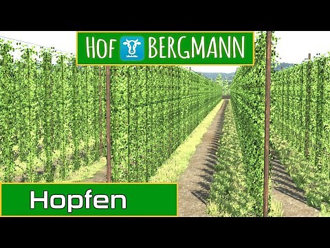 LS22 Hof Bergmann 1.4 - Hopfen Ernte und Verarbeitung