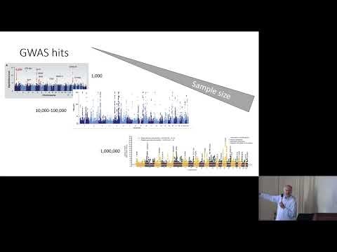 Michel Georges : Polygenic risk scores : state-of-the-art