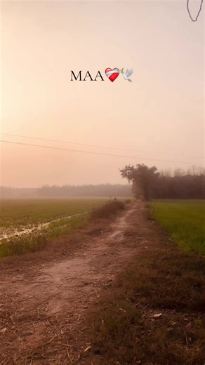 Deep Lines Poetry: Expressing Punjab's Heartfelt Emotions