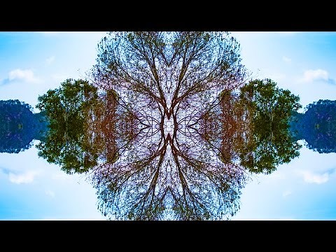 Why is symmetry beautiful?