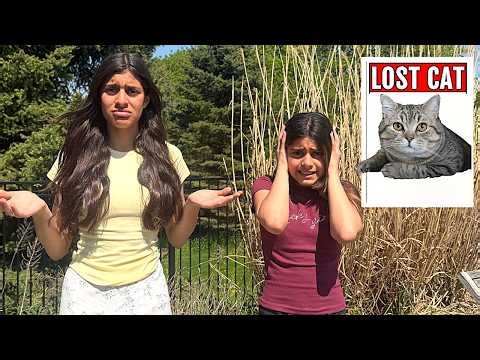 WE LOST OUR CAT!!