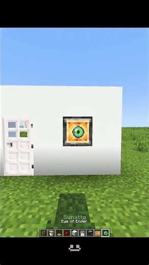 Minecraft Optic ID Door Tutorial moment🤯 #minecraft #shorts