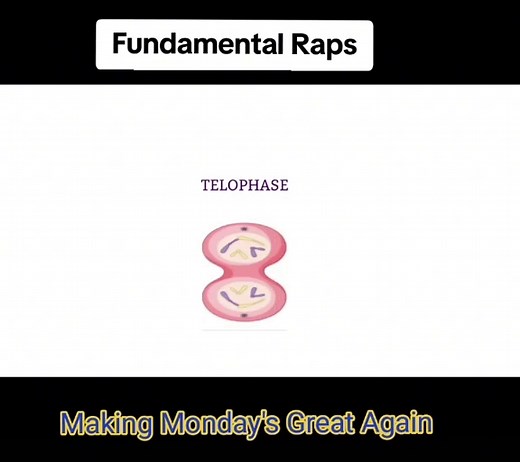 fundamental raps on TikTok