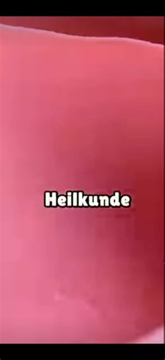Wie Nachsitzen zur Bandgründung führte