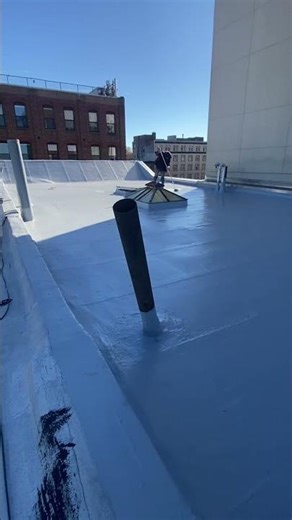 Roof coating