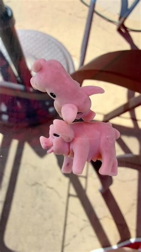 No oinkers! #passthepigs #games #fun