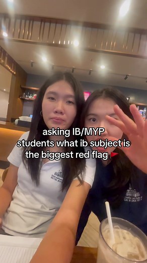 Identifying Red Flags in IB Subjects: Student Interviews