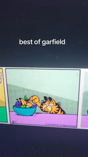 The Best of Garfield: A Comic Classic