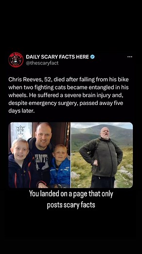131K views · 190 reactions | Chris Reeves, a 52-year-old father of...