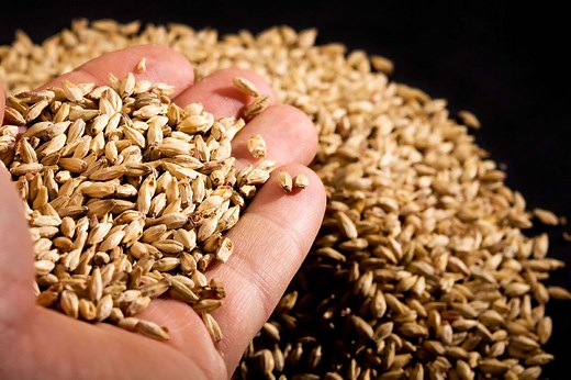 A Guide to Malt, From Whiskey to Whoppers