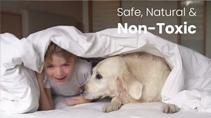 Premo Guard Natural Mite Spray – 16 oz Bottle – Plant Based Treatment for Dust, Spider, Carpet, Bird, Rat Mites – Safe for Families, Pet, Home, Bedding & Furniture When Used As Directed