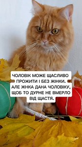 2K views |  | Collection Group Магазин Одягу | Facebook