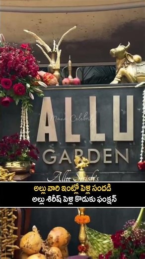 అల్లు శిరీష్ పెళ్లి కొడుకు ఫంక్షన్ అంగరంగ వైభవంగా జరుగుతుంది Sirish Marraige Function Visuals | MC