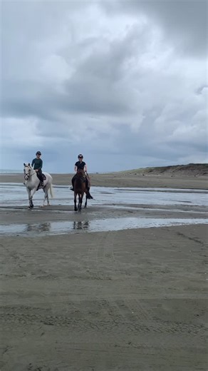 Young Riders on Instagram: "Moody sky at Himatangi beach with @chlo_chlo_7 & @emily_oliver_eq - we finished filming just before the rain kicked in 🐴🎥🎬📺👀😅"