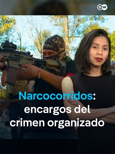 ¿Sabías que los narcocorridos no son siempre homenajes que hacen los cantantes de manera voluntaria? Muchos son pedidos directos de criminales, pagados como si fueran encargos a domicilio. Aquí entra en juego algo delicado: el vínculo directo entre el crimen organizado y los artistas. Este subgénero musical es uno de los ejes más polémicos de la narcocultura. Las canciones narran y exaltan la vida de los capos, sus lujos, su poder y su violencia. ¿Qué opinás de los narcocorridos? ¿Los escuchas?