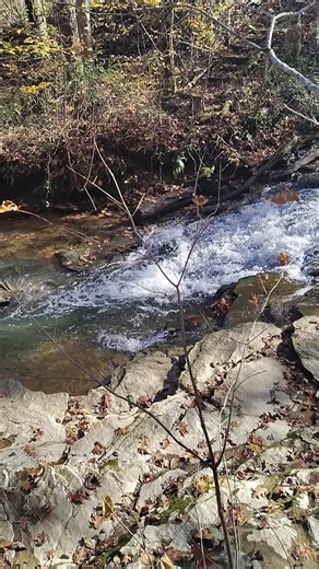 Exploring the Beauty of Saunders Springs, Kentucky