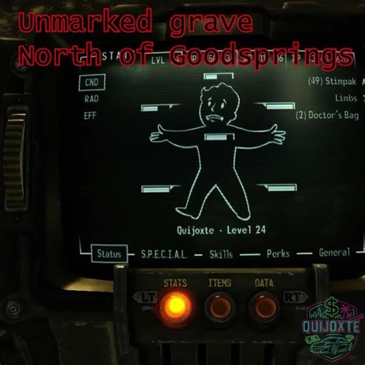 Fallout New Vegas- Unique Weapon