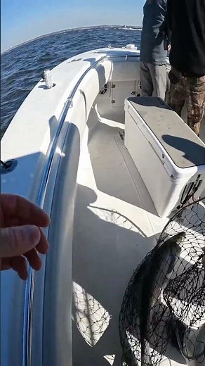 Catching Striped Bass With Spinning Rod