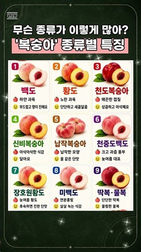 무슨 종류가 이렇게 많아 '복숭아' 종류별 특징 #생활정보 #제철과일