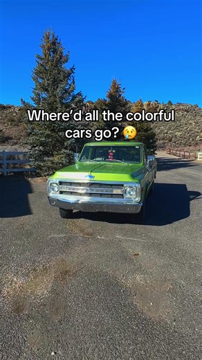 Seriously? #chevy #oldtruck #1969 #fyp | Old Trucks