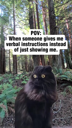 #Meme #MemeCut #CapCut #fyp #viral | meme