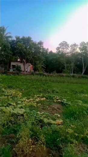 Mu kahibini tu kete bhala #romantic #dance #love #reels #yt shorts