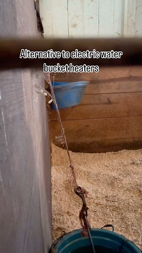 These insulated bucket covers from @smartpak (not sponsored 🤪) have been the best winter investment I have made as a horse owner. Right now, with the negative windchill temps, my buckets will still ice over but can be easily broken and scooped rather than frozen solid. I am not a fan of electric water heaters so this is a great alternative option! 🐴 #winterwithhorses #winterlivestockcare #frozenwaterbuckets #winterhorsecare #horsecareforbeginners #winterhorsecaretips | Allison Preiss