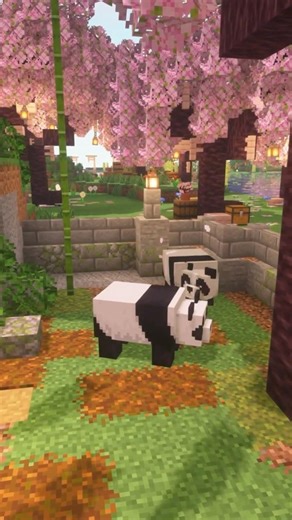 On the Way to See the Pandas 🐼