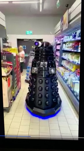 On the hunt for cake! #dalek #daleks #daleksofsomerset #dalekdraco #draco #cake #lidl #foodshopping #shopping #hunt #cakes #bumblebee #dalek_draco #funny