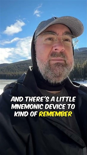 Conifer Identification Made Easy! #shorts