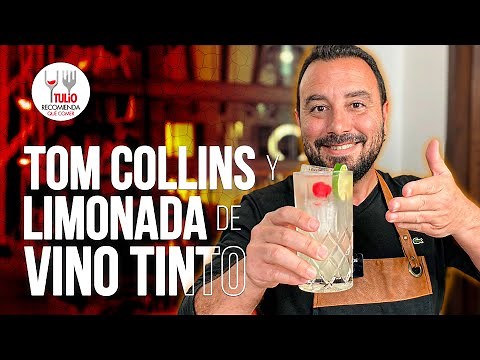 Tom Collins and Red Wine Lemonade: A Refreshing and Unique Recipe! | Tulio Recommends