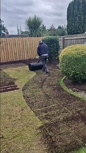 Best way to top dress a lawn?