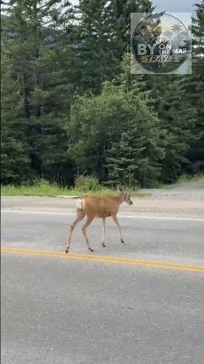 Banff National Park: Canada's Most Beautiful Paradise
