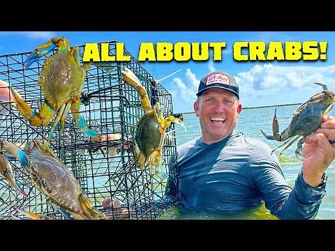 Crabbing Made Easy! {Catch Clean Cook}